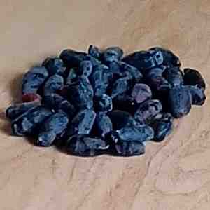 a bunch of honeyberries