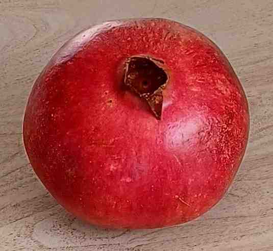 pomegranate icon